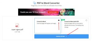 Convert PDF to Word