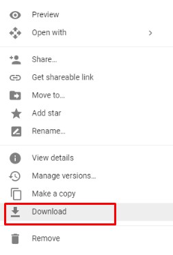 Download File Google Drive