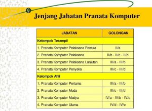 Jenjang Jabatan Pranata Komputer