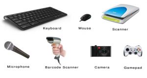 Perangkat Input (Input Devices)